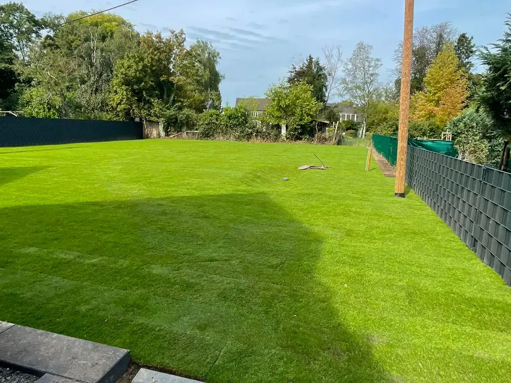Neu verlegter Rollrasen auf der Gartenfläche